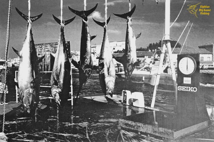 La pêche du thon rouge à Martigues vieilles photos
