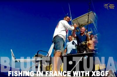 Bluefin tuna fishing south of france