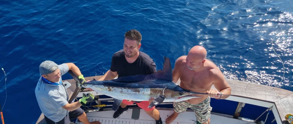 Pêche du marlin blanc à Ténérife - Iles Canaries