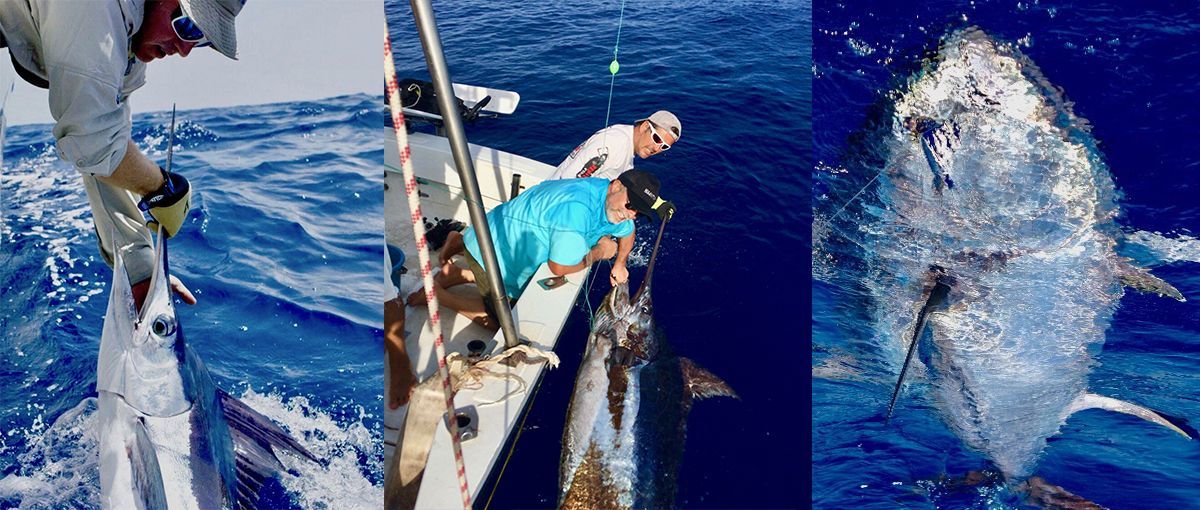 Réservez journée pêche au gros 2018