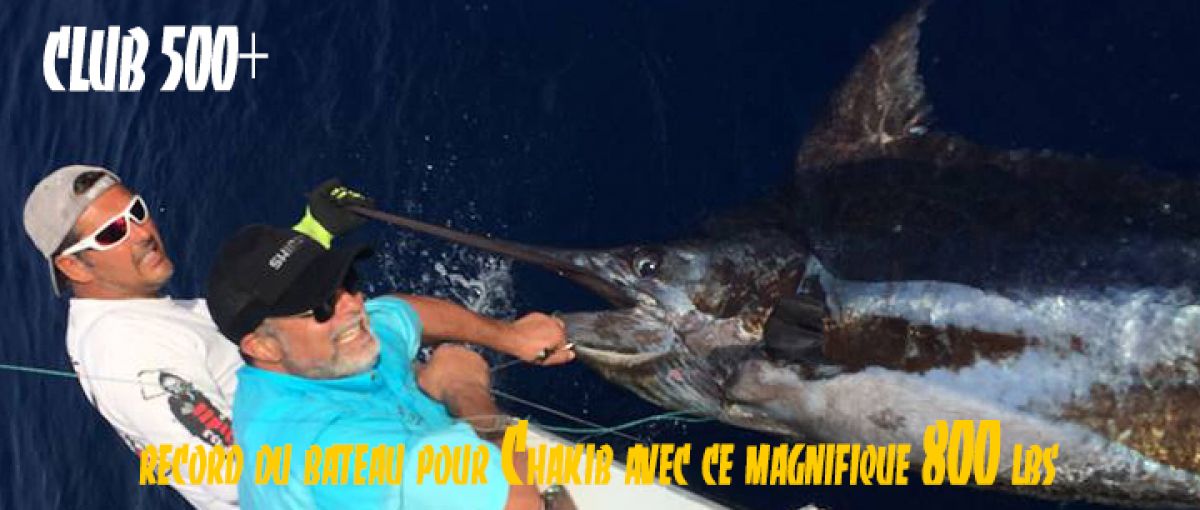 https://www.xiphias-biggamefishing.fr/index.php?page=peche-au-gros-marlin-bleu-marlin-blanc&id=1110