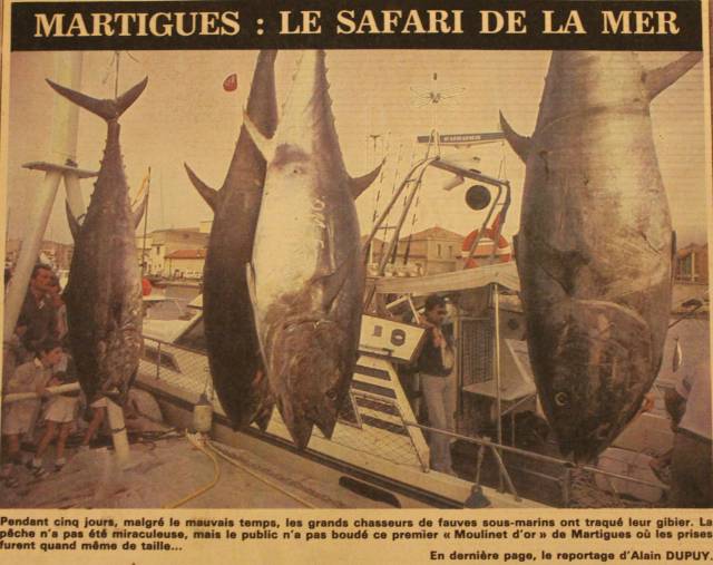 Pêche au thon-Martigues
