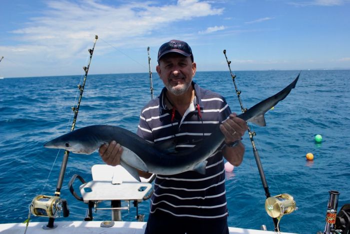 pêche au requin