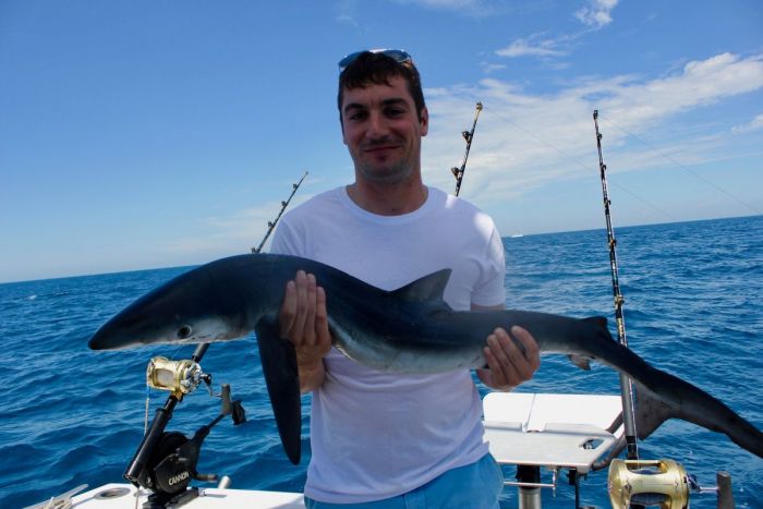 pêche au requin