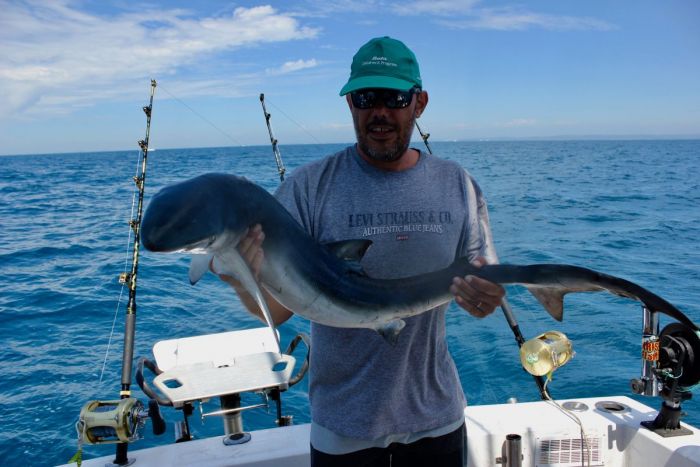 pêche au requin