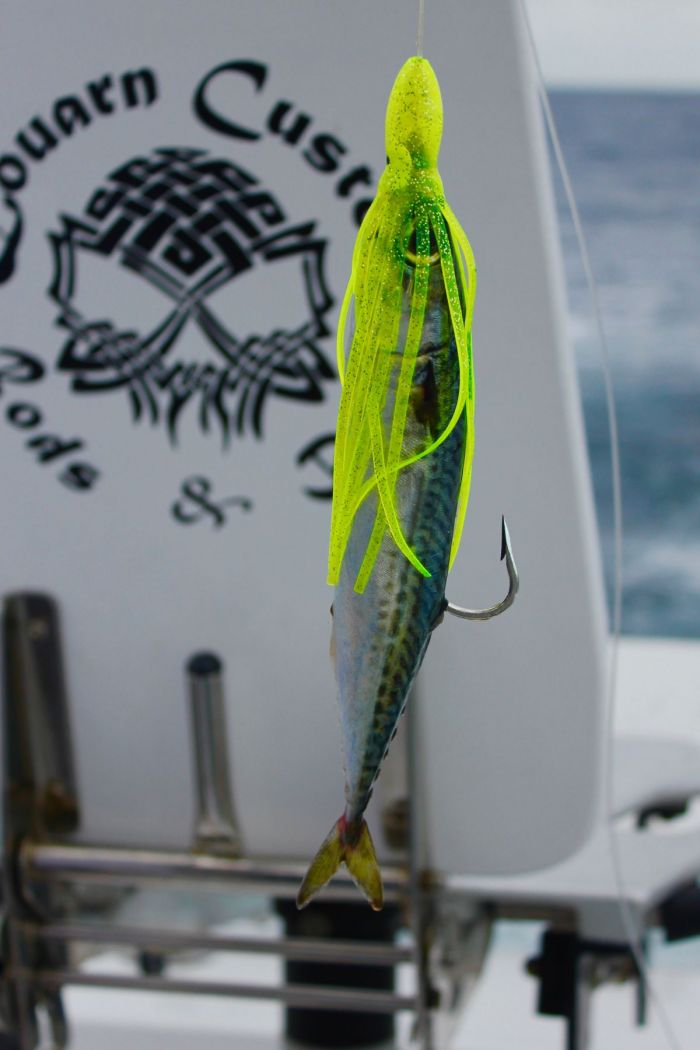 Pêche au gros marlin blanc