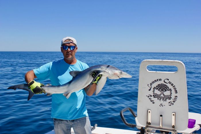 guy et denise pechent un requin peau bleue