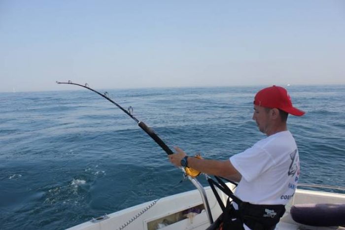 Pêche du Thon rouge stand up sur 50 LBS