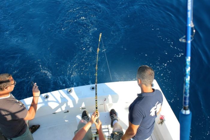 bluefin tuna fishing