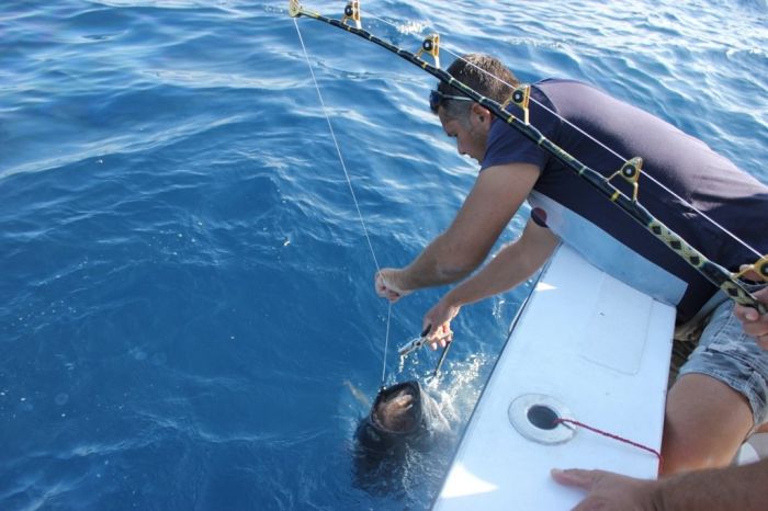 Pêche au thon 13/09/2014