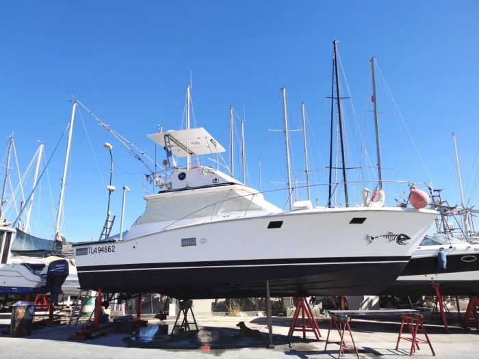 charter peche PORTUGAL Villamoura