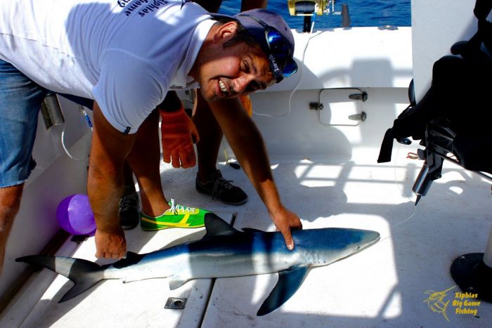 Pêche au requin