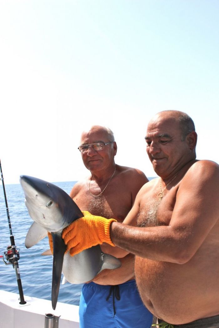 Pêche au requin session 04/07/2015