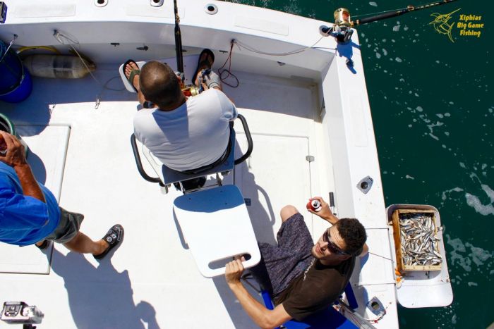 Pêche au thon Martigues