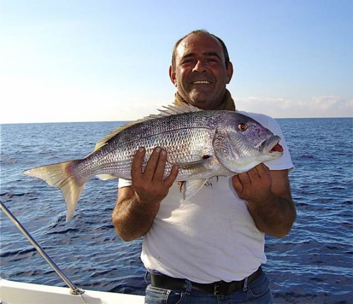 Denti pêché aux grands fonds