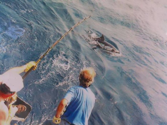 Pêche au thon Martigues