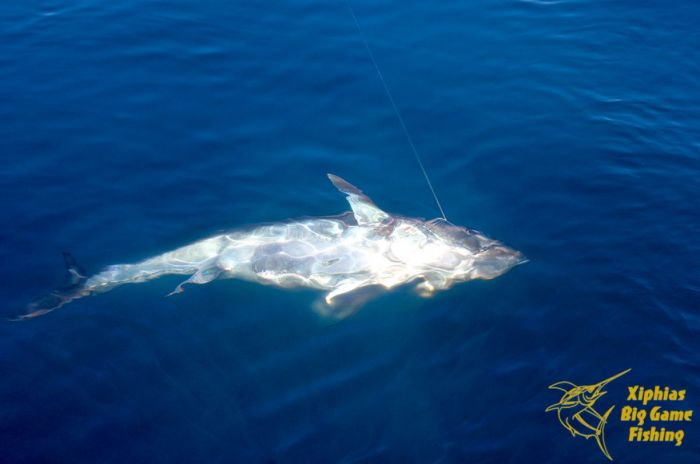 Pêche en mer 