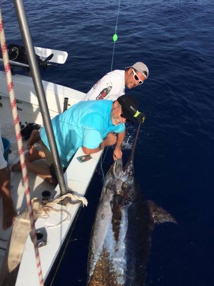 pêche au gros  - marlin bleu de 800 lbs 360 kg pour Chakib