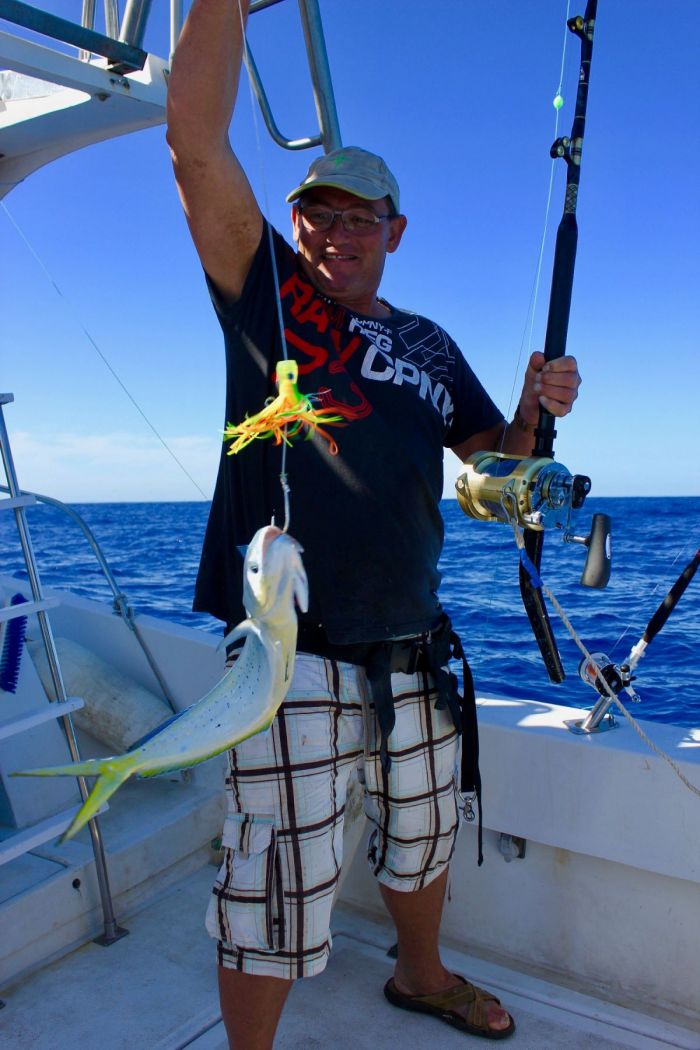 mahi mahi dorade coryphene algarve