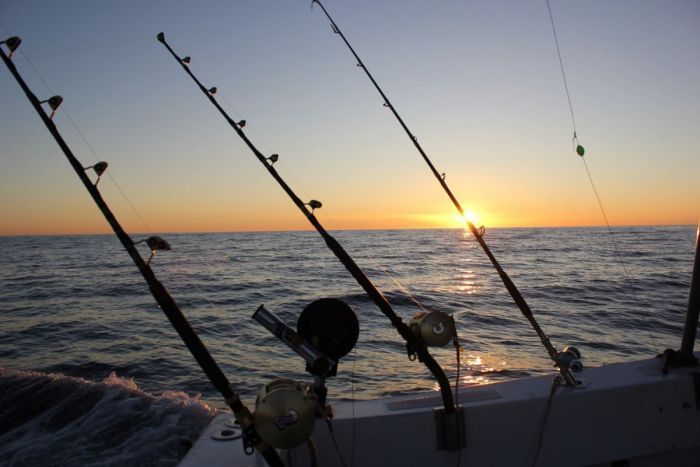 direction Picos pour la pêche au gros