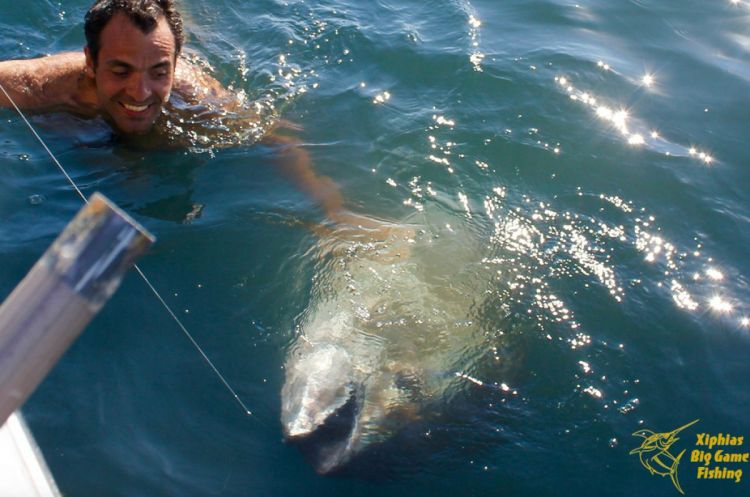 Il pêche un thon de 2,40 pour 200 kg à Martigues