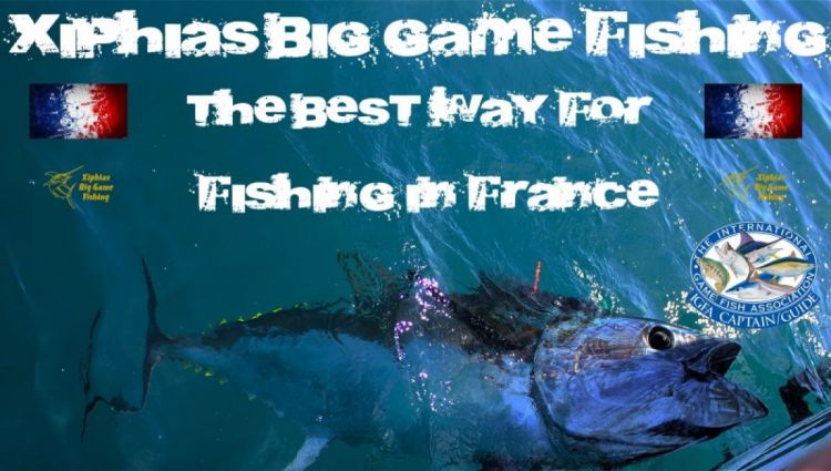 Pêche au thon en France le championnat de France 2015 se déroulera à Martigues