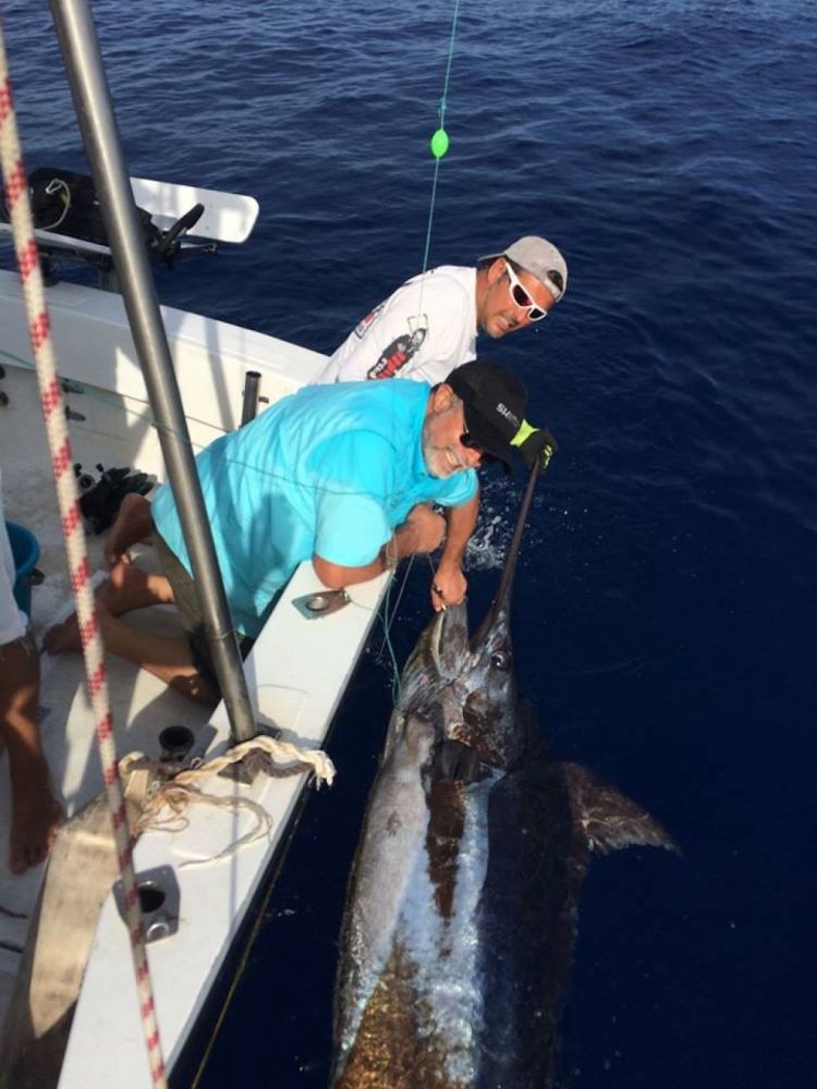 Pêche au gros - marlin bleu de 360 kg - 800 lbs 