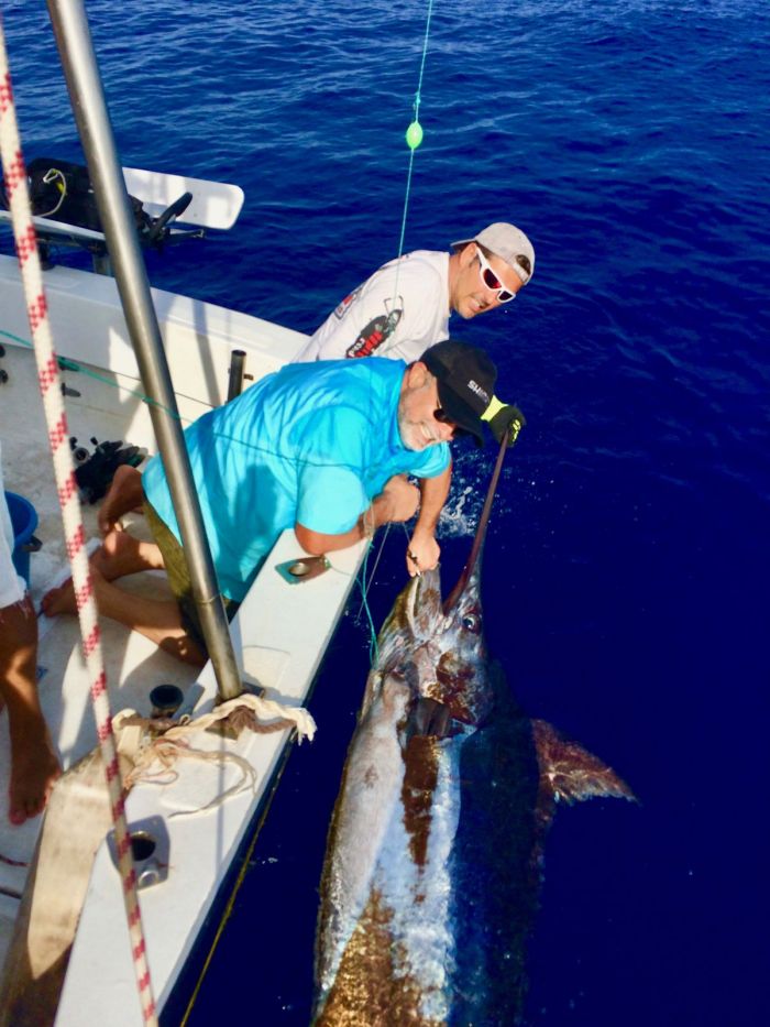 Pêche du Marlin bleu à Ténérife