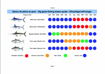 Guide des saisons pêche au gros à Olhao en Algarve