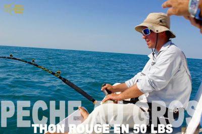 Pêche au thon rouge en 50 lbs