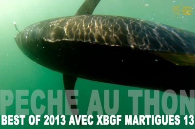 Pêche au thon, Best of 2013 par la Team Xiphias Biggamefishing