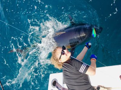 Pêche au gros - thon rouge de 450 lbs au bas de ligne