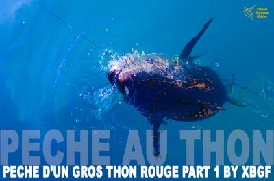 Pêche d'un gros thon PART 1