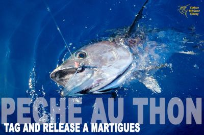 Pêche au thon rouge Tag and Release à Martigues