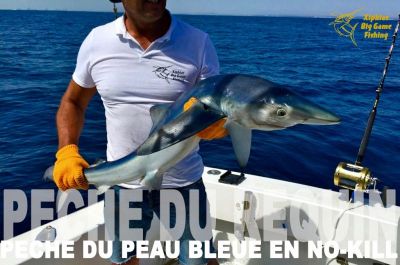 Pêche au requin à Martigues (13)