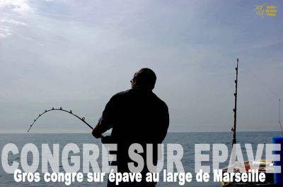 Pêche au gros. Pêche d'un gros congre sur épave 