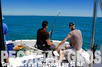 Pêche au gros Thon rouge à Martigues