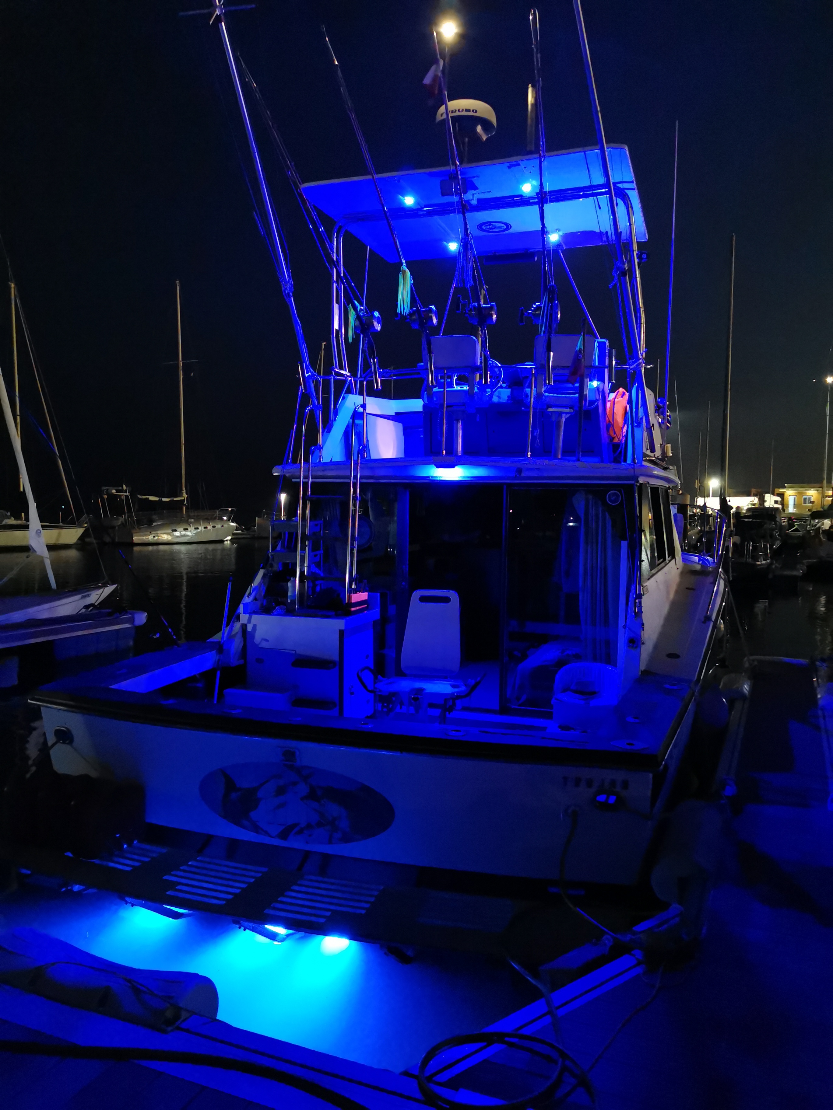 bateau charter peche au gros portugal