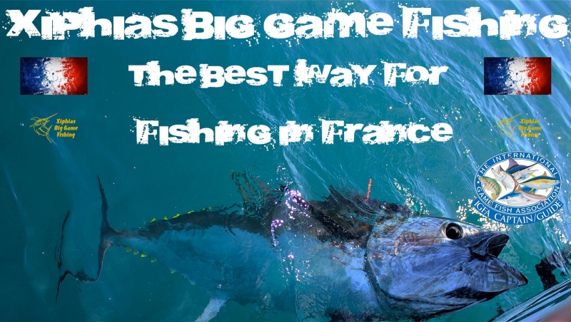 pêche au thon - pêche au gros - The best way for fishing in France