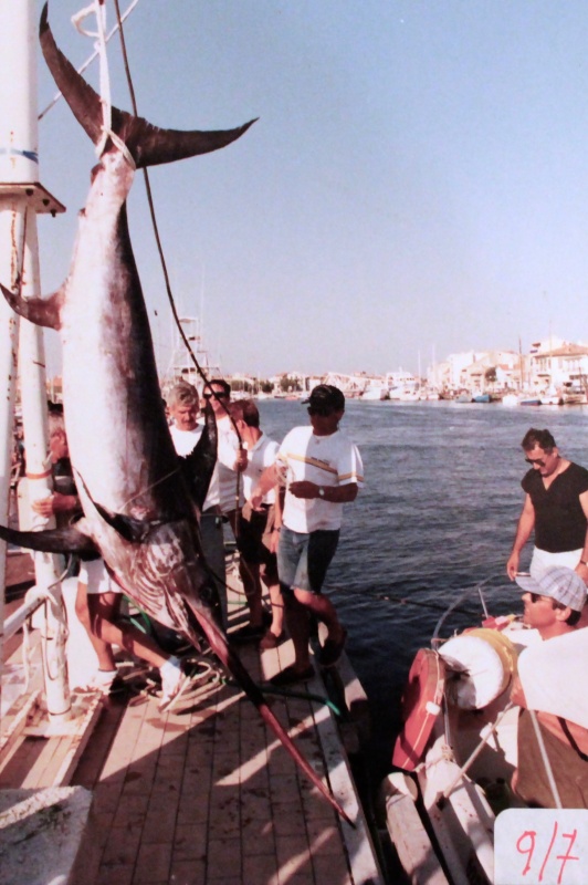 peche au gros espadon xiphias