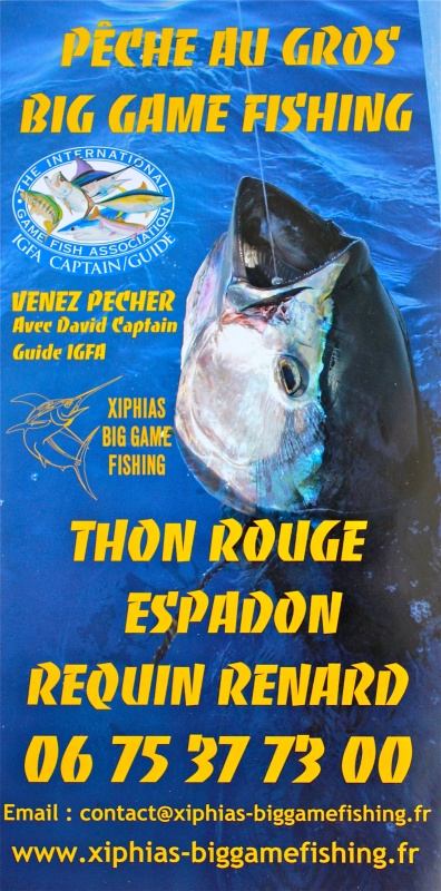 pêche au thon