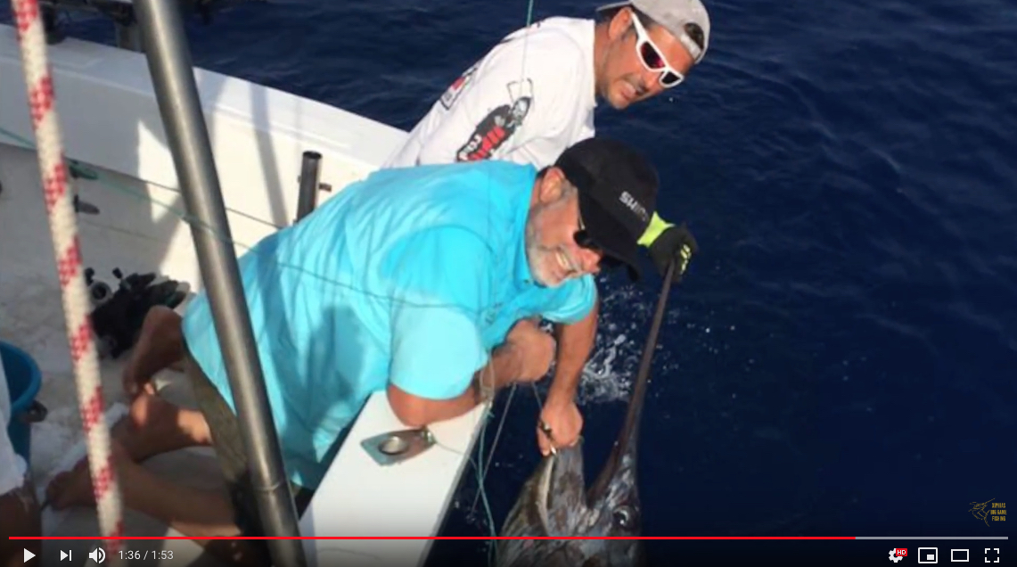 video peche au marlin